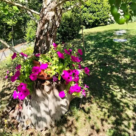 Apartman La Camelia - Scorci Di *