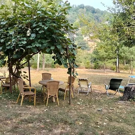Apartamento La Camelia - Scorci Di *