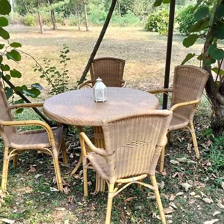 La Camelia - Scorci Di Apartamento Arona